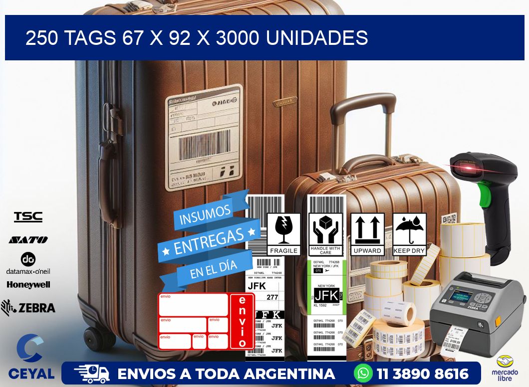 250 TAGS 67 x 92 X 3000 UNIDADES