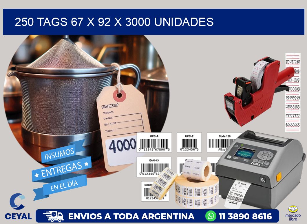 250 TAGS 67 x 92 X 3000 UNIDADES