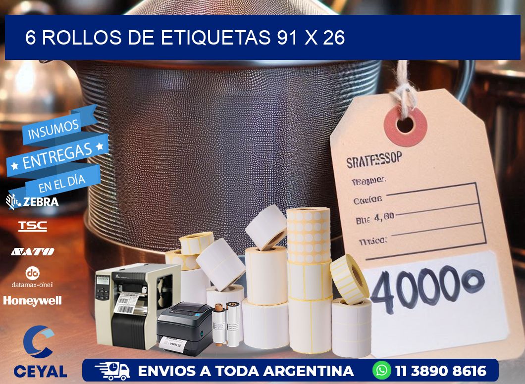 6 ROLLOS DE ETIQUETAS 91 x 26