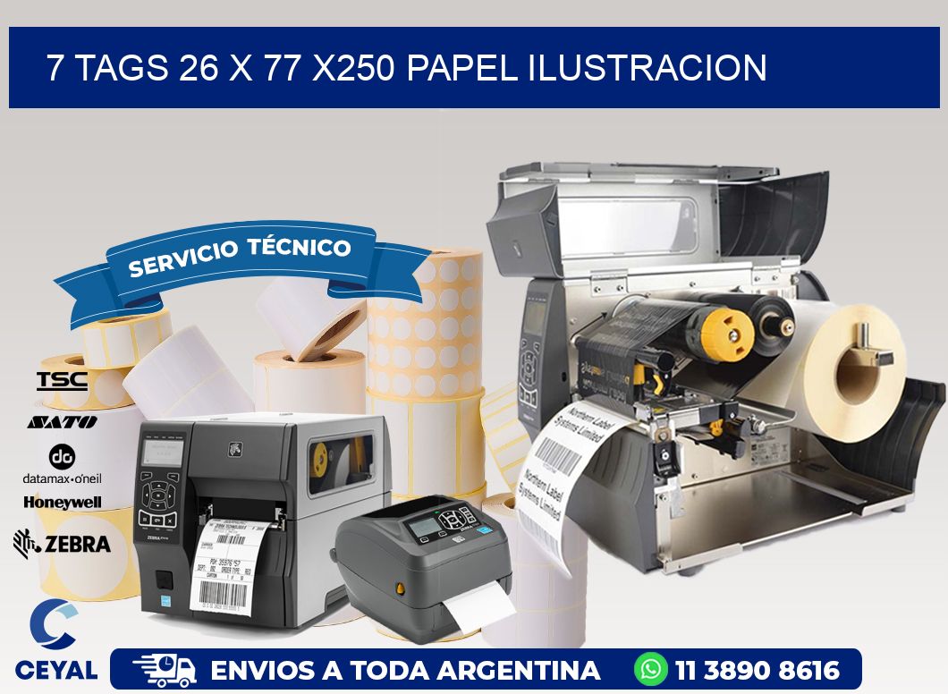 7 TAGS 26 x 77 X250 PAPEL ILUSTRACION
