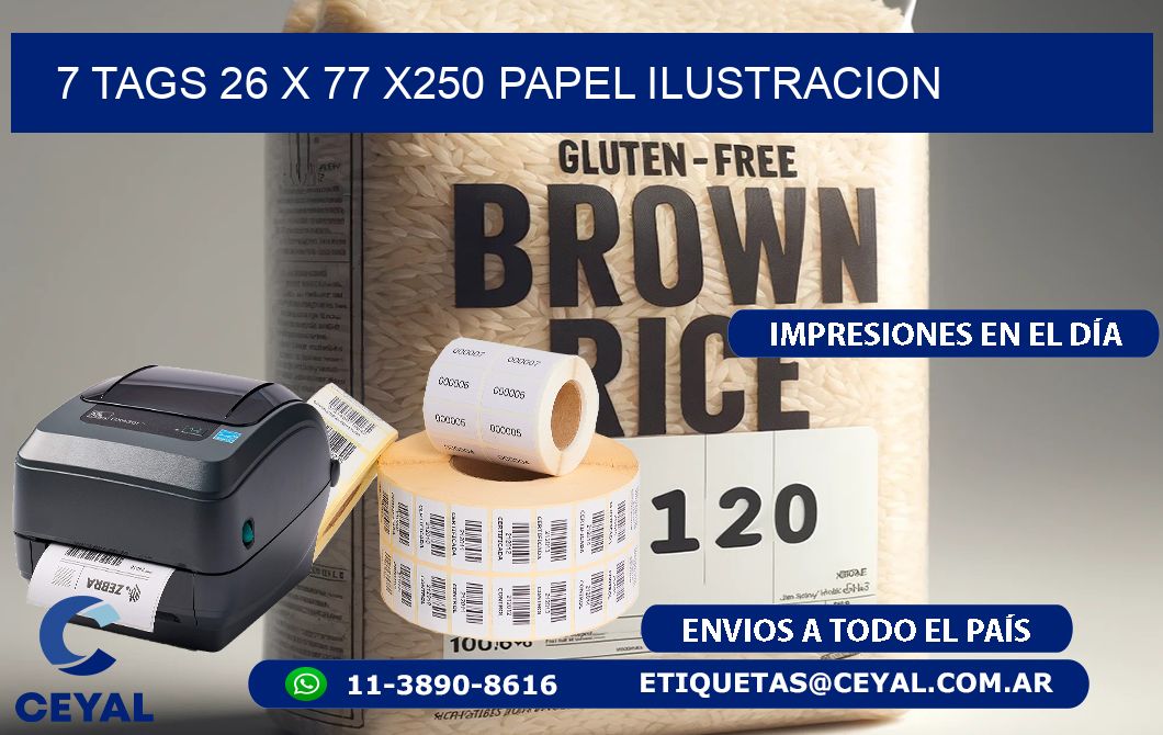 7 TAGS 26 x 77 X250 PAPEL ILUSTRACION
