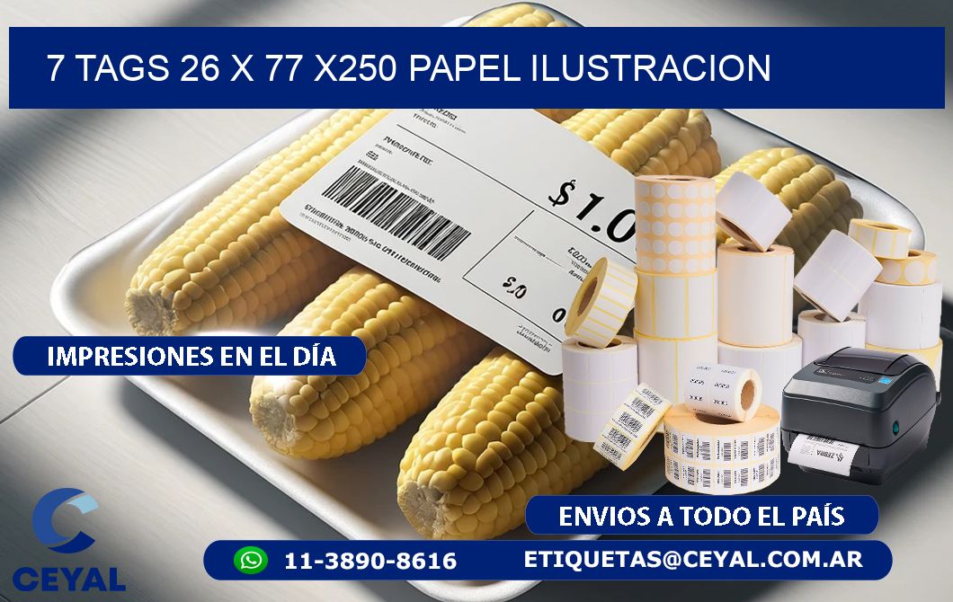 7 TAGS 26 x 77 X250 PAPEL ILUSTRACION