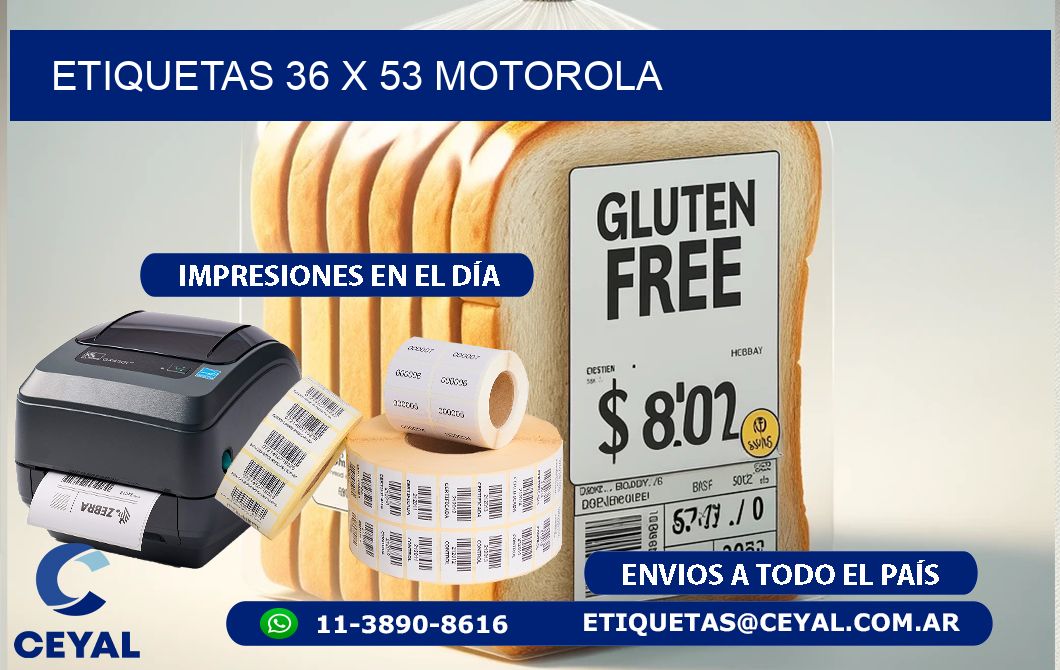ETIQUETAS 36 x 53 MOTOROLA