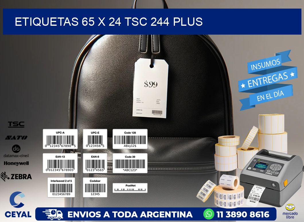 ETIQUETAS 65 x 24 TSC 244 PLUS