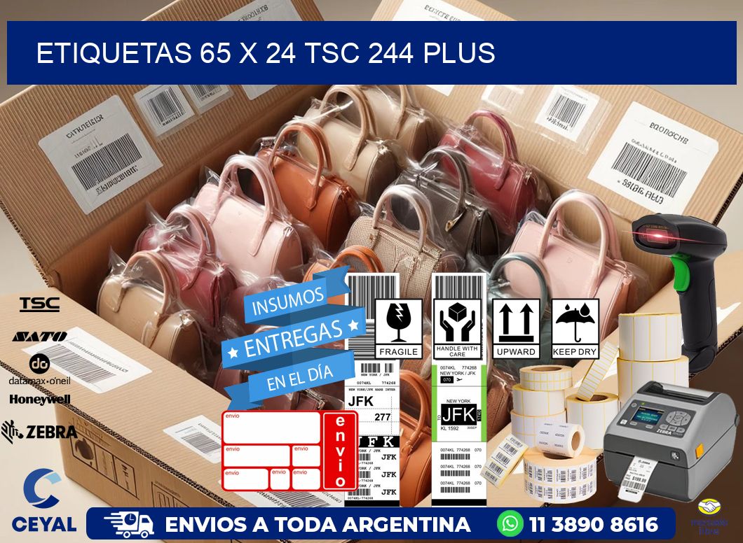 ETIQUETAS 65 x 24 TSC 244 PLUS