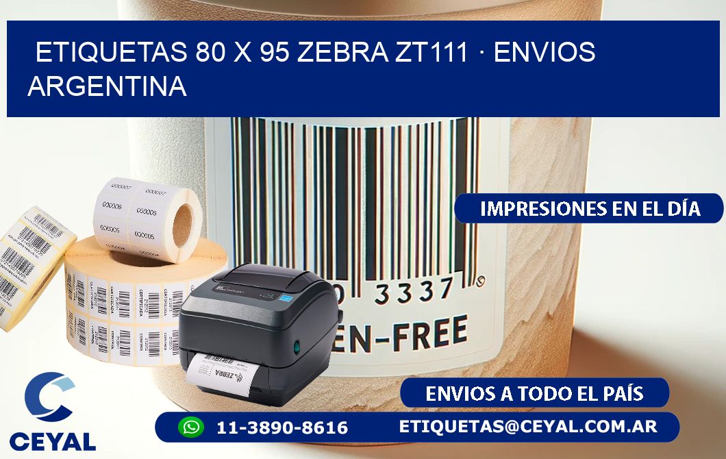 ETIQUETAS 80 x 95 ZEBRA ZT111 · ENVIOS ARGENTINA
