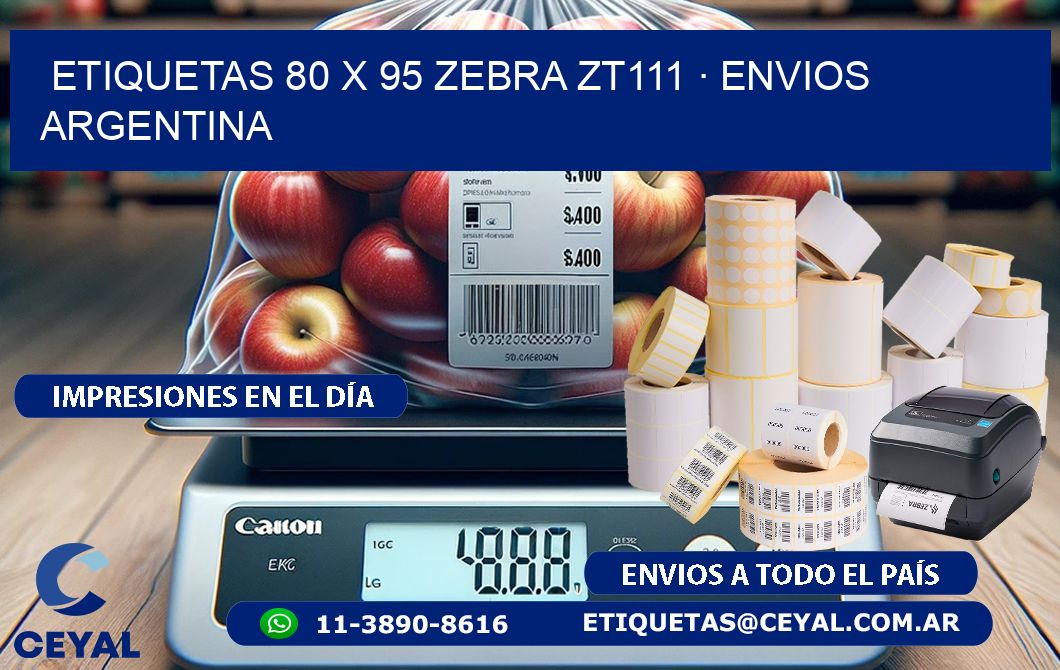 ETIQUETAS 80 x 95 ZEBRA ZT111 · ENVIOS ARGENTINA