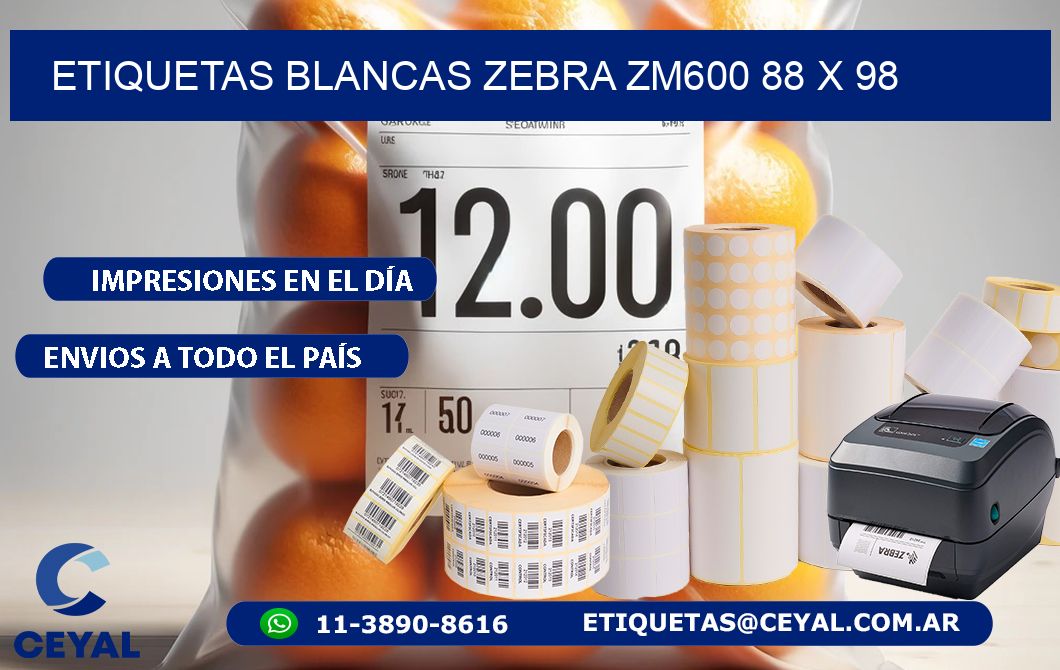 ETIQUETAS BLANCAS ZEBRA ZM600 88 x 98