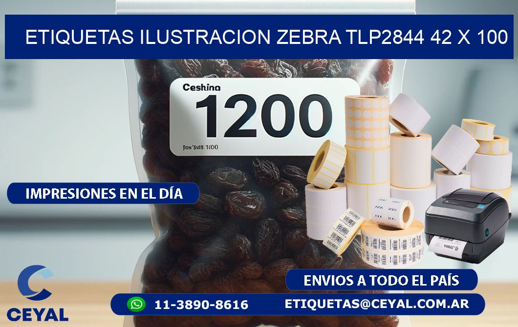 ETIQUETAS ILUSTRACION ZEBRA TLP2844 42 x 100