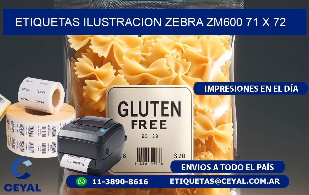 ETIQUETAS ILUSTRACION ZEBRA ZM600 71 x 72