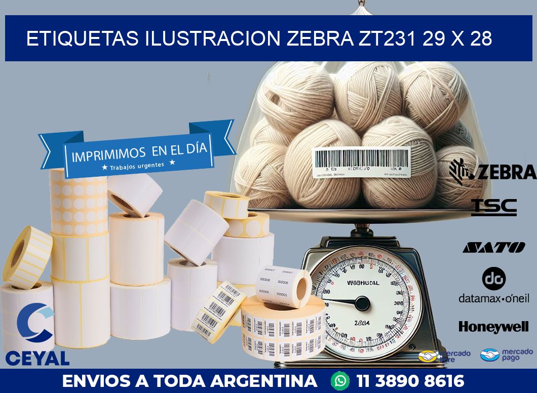 ETIQUETAS ILUSTRACION ZEBRA ZT231 29 x 28