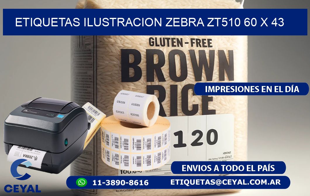 ETIQUETAS ILUSTRACION ZEBRA ZT510 60 x 43