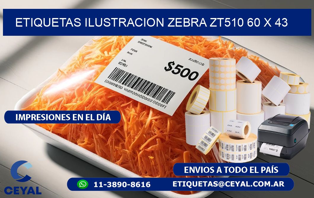 ETIQUETAS ILUSTRACION ZEBRA ZT510 60 x 43