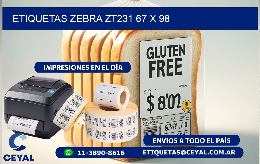 ETIQUETAS Zebra ZT231 67 x 98