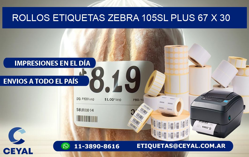 ROLLOS ETIQUETAS Zebra 105SL Plus 67 x 30