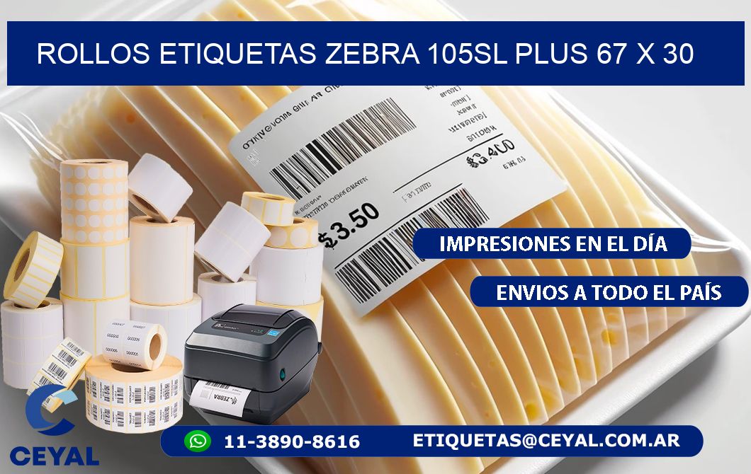ROLLOS ETIQUETAS Zebra 105SL Plus 67 x 30