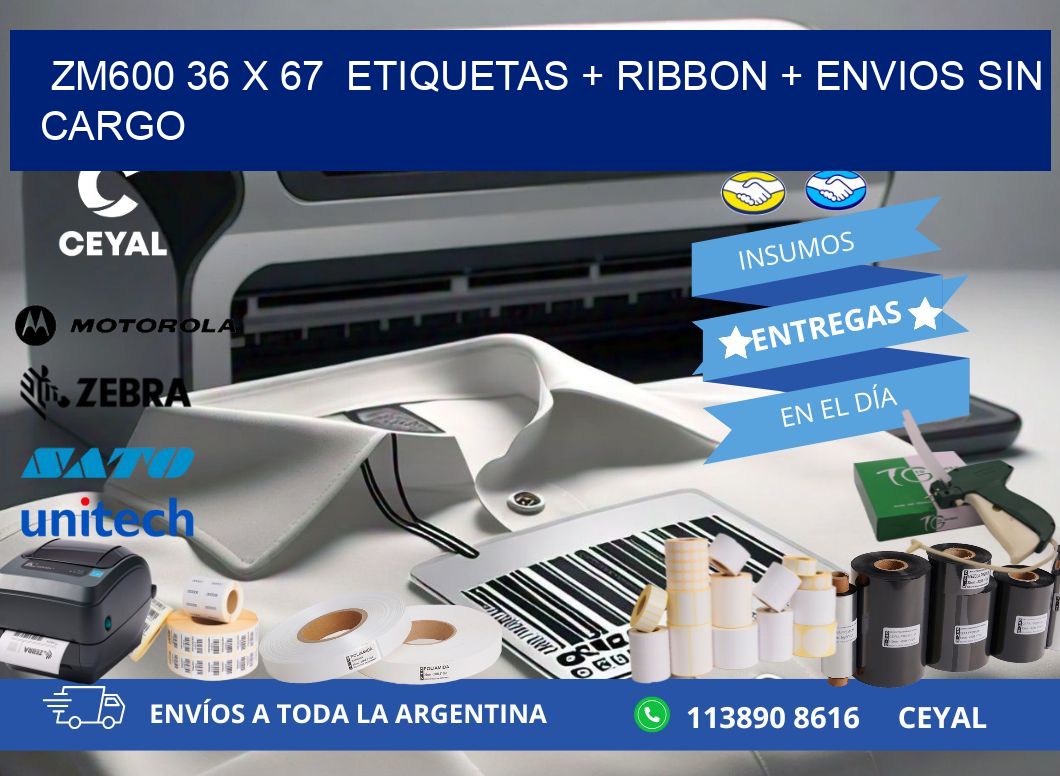 ZM600 36 x 67  etiquetas + ribbon + envios sin cargo