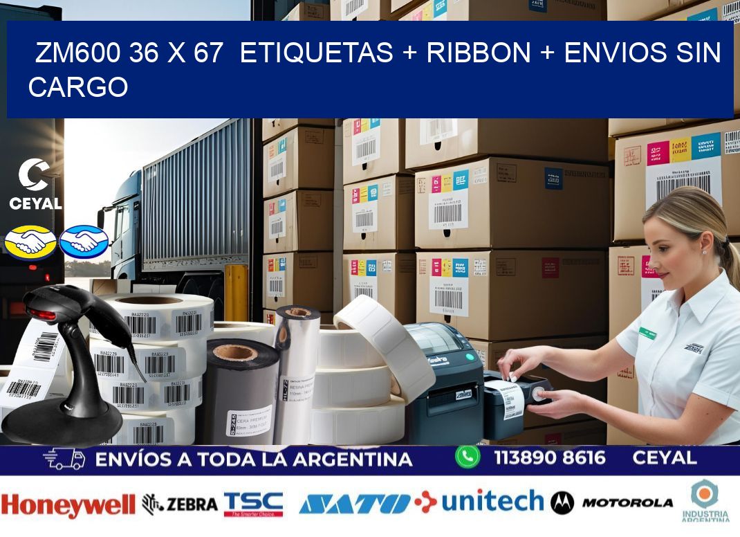 ZM600 36 x 67  etiquetas + ribbon + envios sin cargo