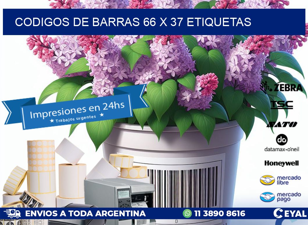 codigos de barras 66 x 37 etiquetas