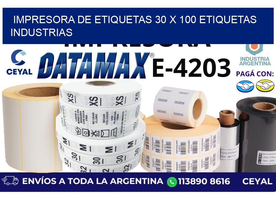 impresora de etiquetas 30 x 100 etiquetas industrias