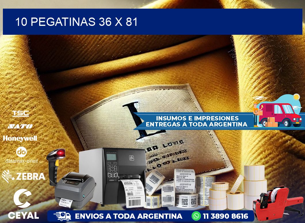 10 PEGATINAS 36 x 81
