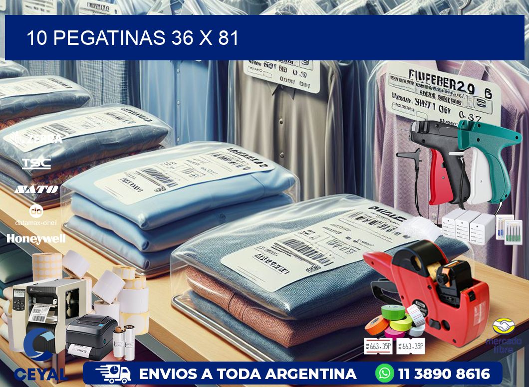 10 PEGATINAS 36 x 81