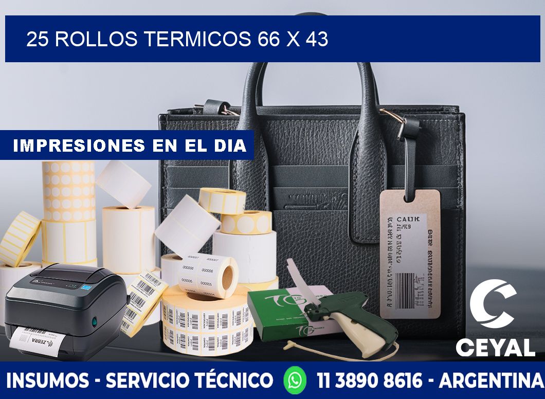 25 ROLLOS TERMICOS 66 x 43