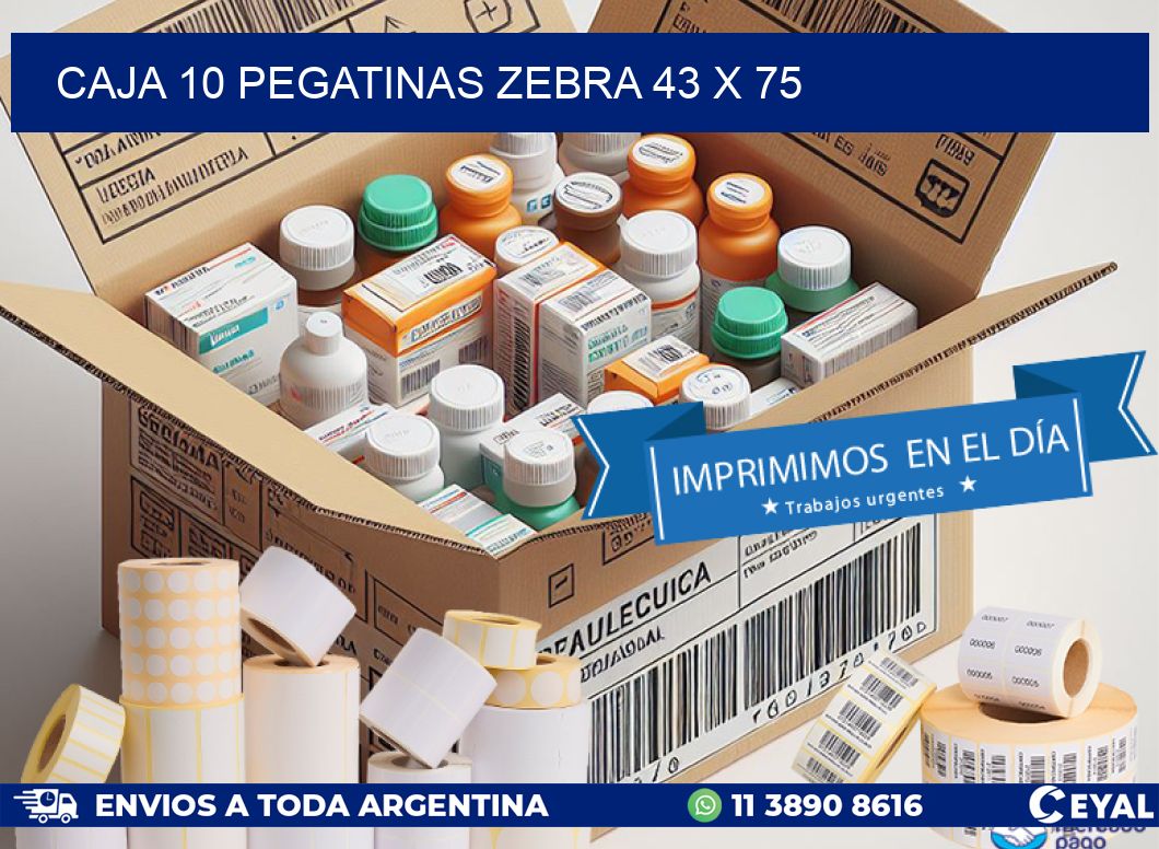 CAJA 10 PEGATINAS ZEBRA 43 x 75