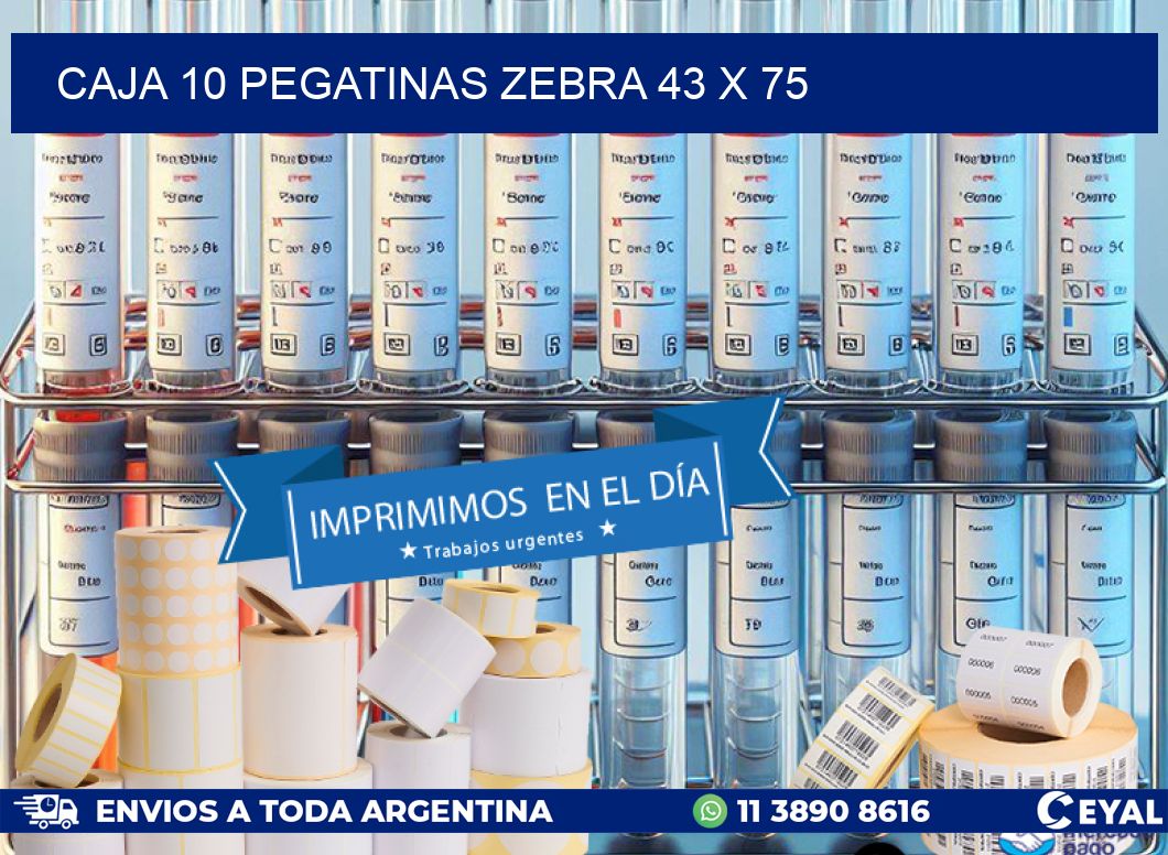 CAJA 10 PEGATINAS ZEBRA 43 x 75