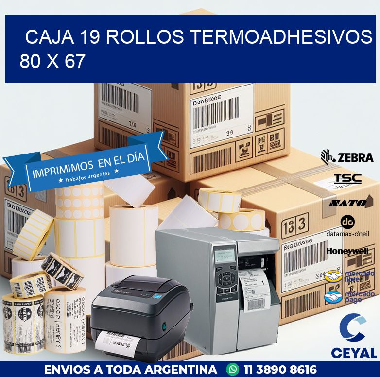 CAJA 19 ROLLOS TERMOADHESIVOS 80 x 67