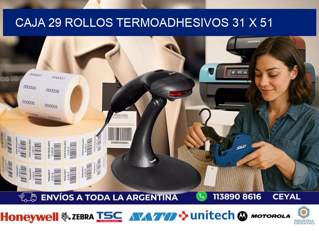 CAJA 29 ROLLOS TERMOADHESIVOS 31 x 51