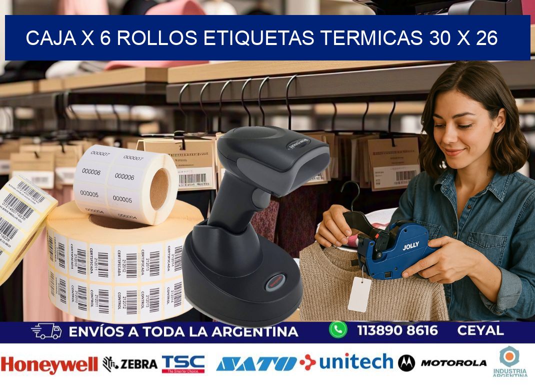 Caja X 6 Rollos Etiquetas termicas 30 x 26