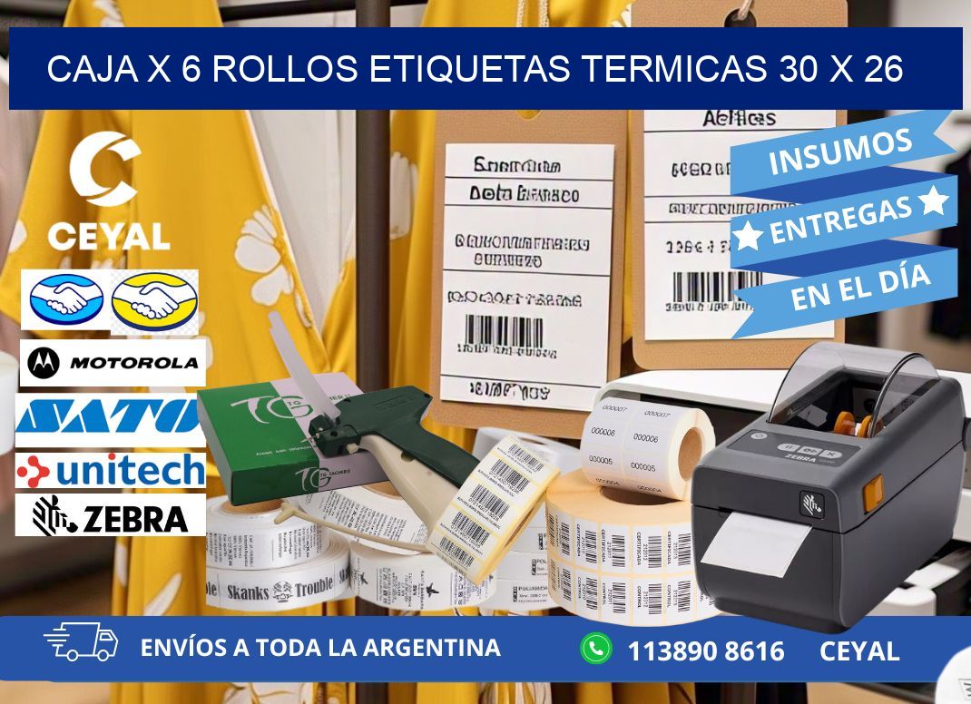 Caja X 6 Rollos Etiquetas termicas 30 x 26
