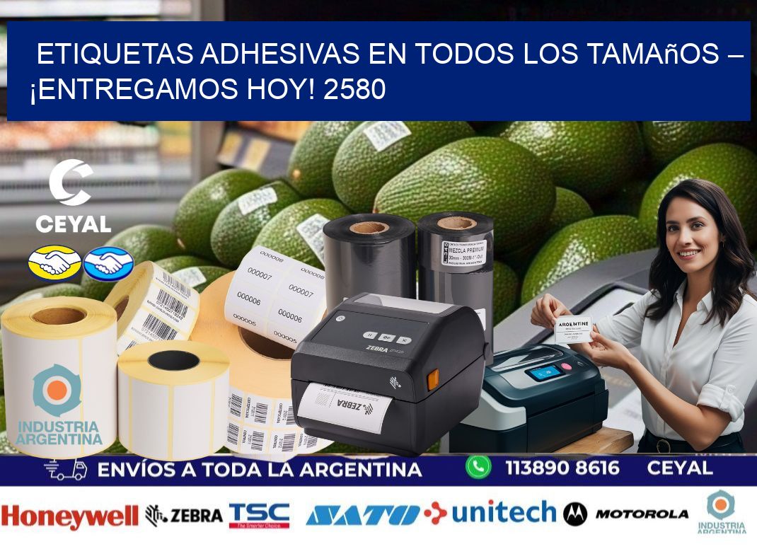 Etiquetas Adhesivas en Todos los Tamaños – ¡Entregamos Hoy! 2580