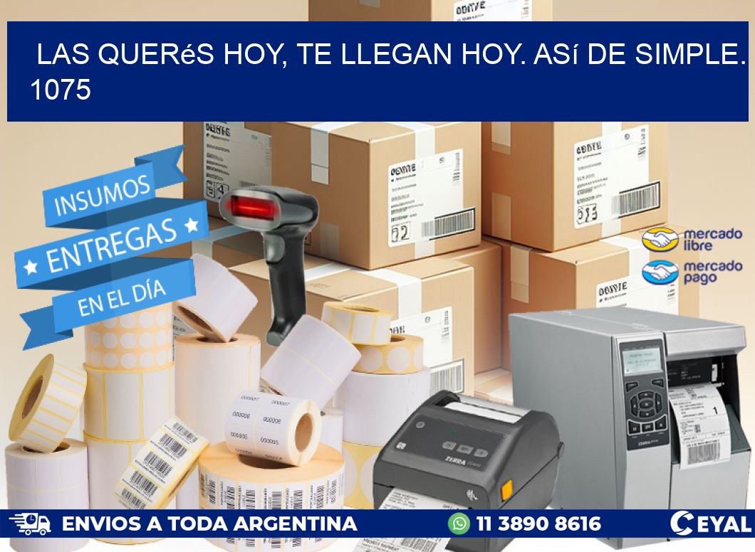 Las Querés Hoy, Te Llegan Hoy. Así de Simple. 1075