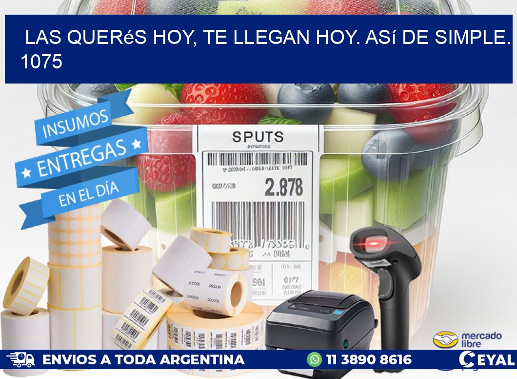 Las Querés Hoy, Te Llegan Hoy. Así de Simple. 1075