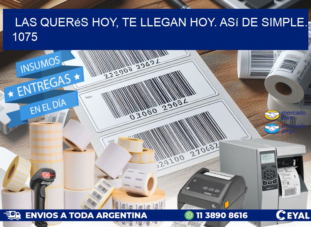 Las Querés Hoy, Te Llegan Hoy. Así de Simple. 1075