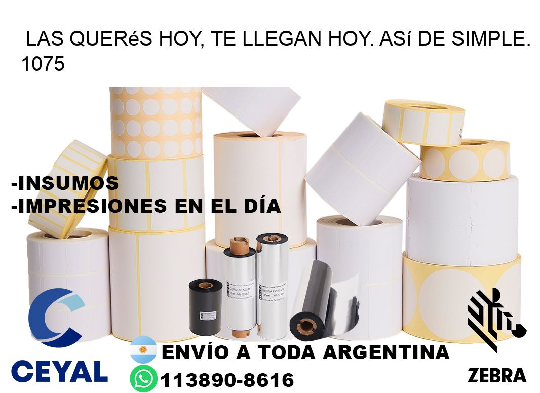 Las Querés Hoy, Te Llegan Hoy. Así de Simple. 1075