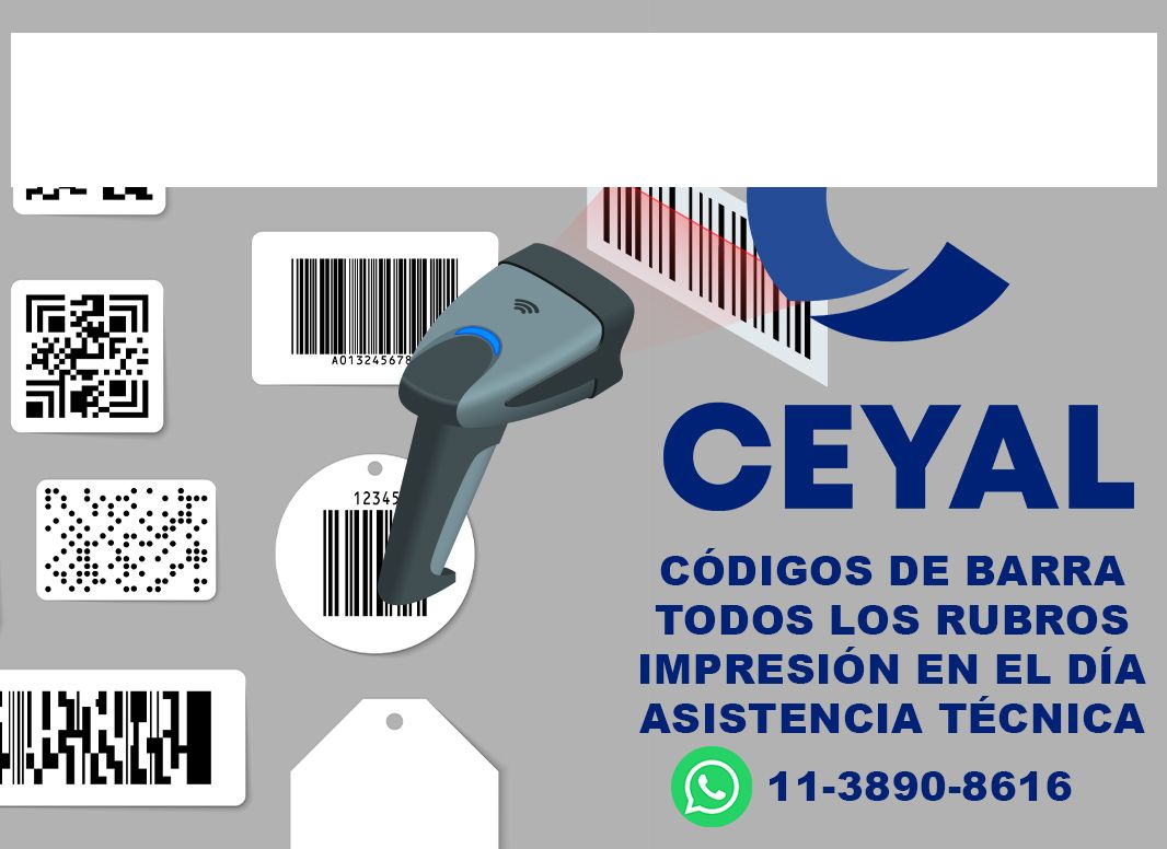 52635 Como reiniciar una impresora Zebra  ZD220