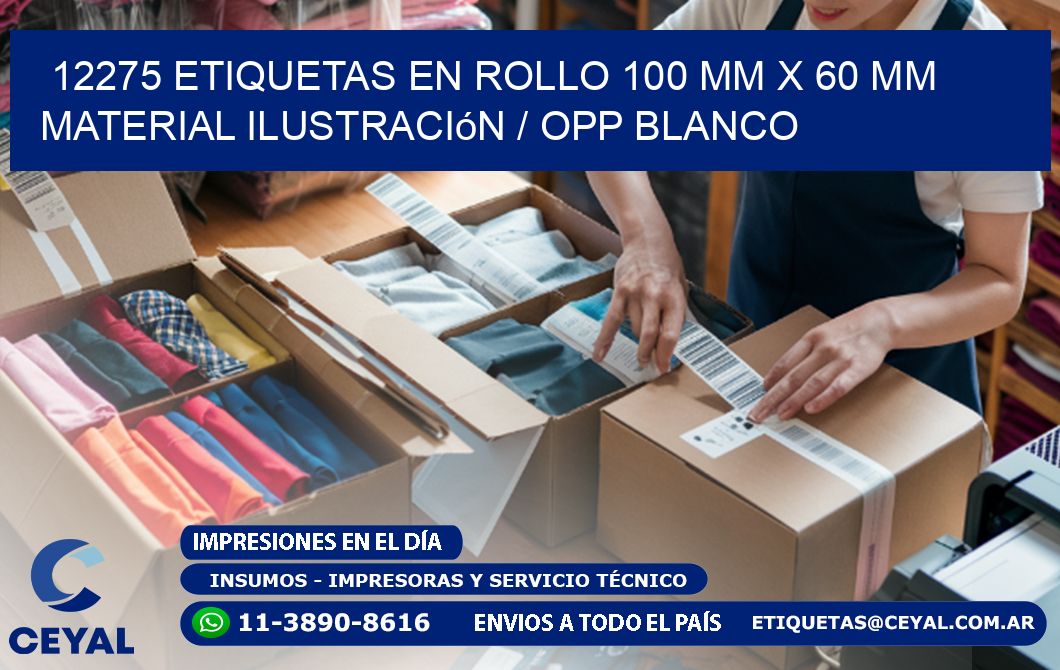 12275 Etiquetas en rollo 100 mm x 60 mm material Ilustración / OPP Blanco
