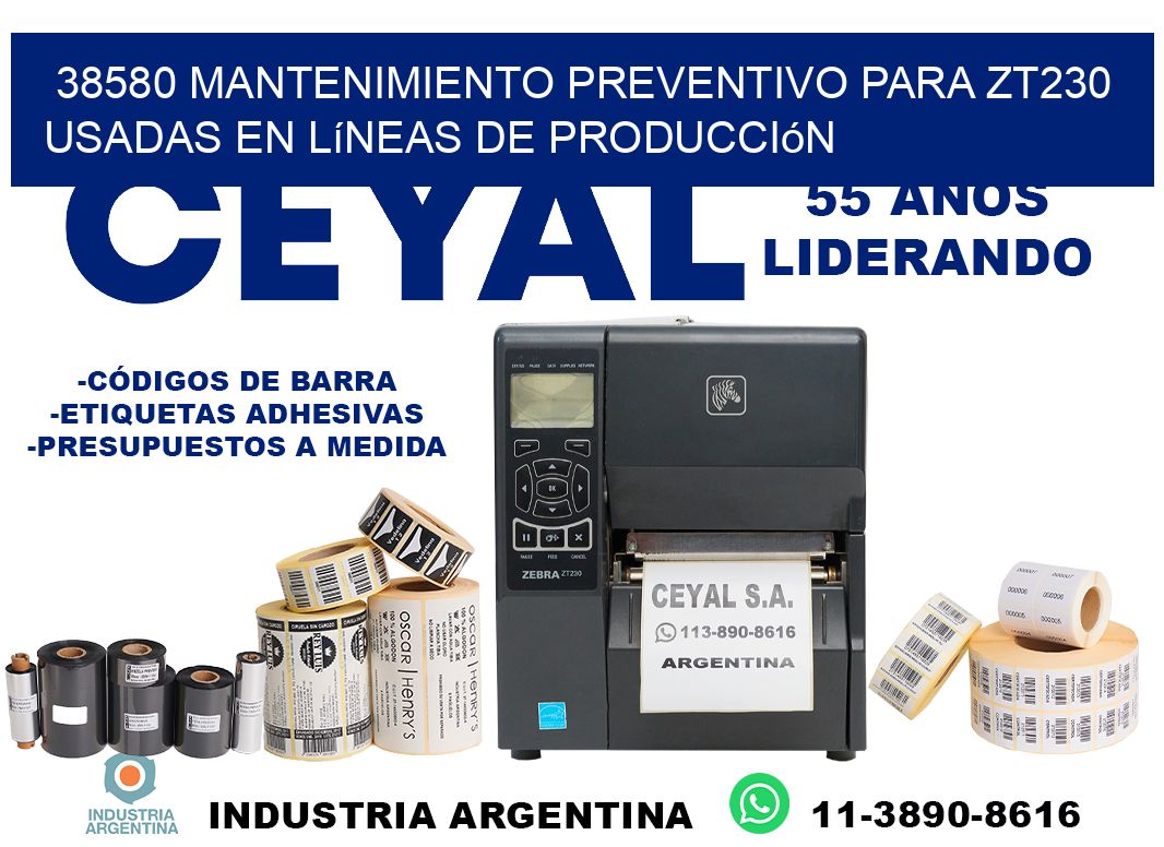 38580 mantenimiento preventivo para zt230 usadas en líneas de producción
