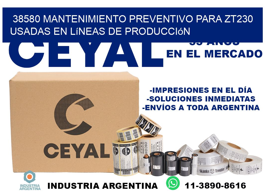 38580 mantenimiento preventivo para zt230 usadas en líneas de producción