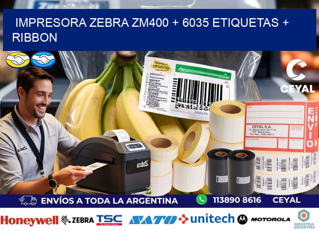 impresora zebra zm400 + 6035 etiquetas + ribbon
