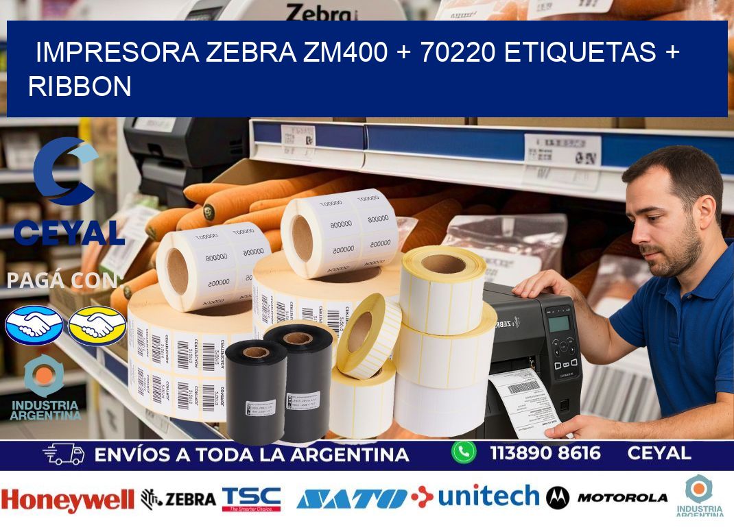 impresora zebra zm400 + 70220 etiquetas + ribbon
