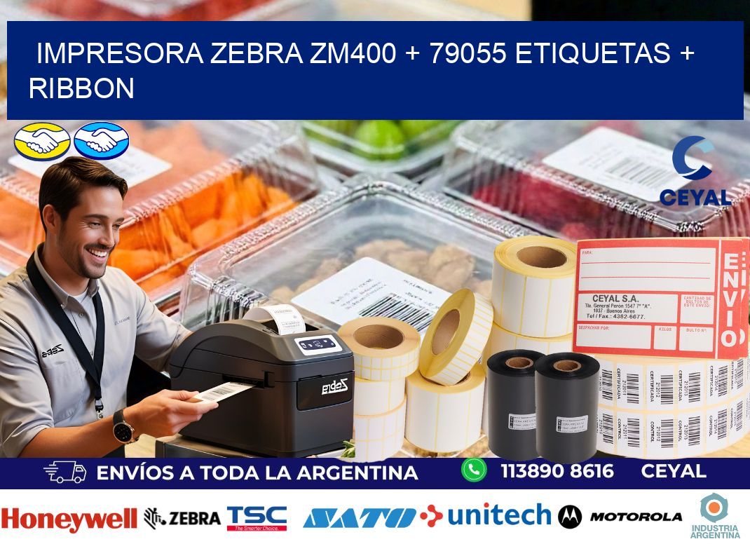 impresora zebra zm400 + 79055 etiquetas + ribbon