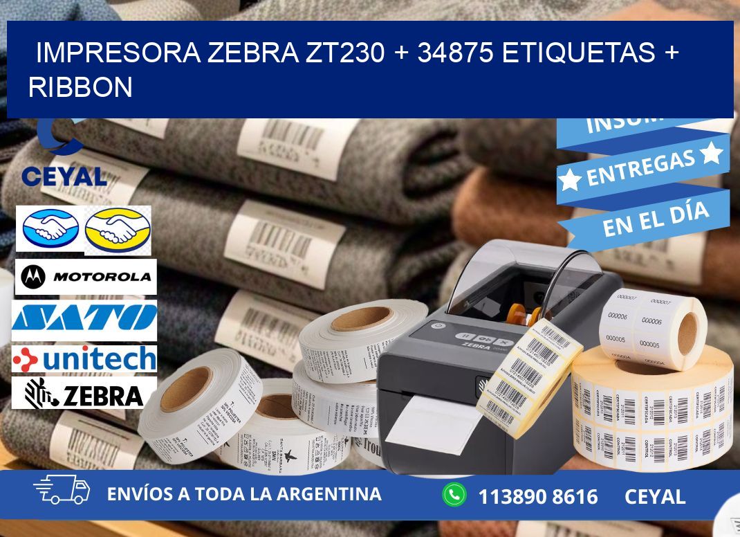 impresora zebra zt230 + 34875 etiquetas + ribbon