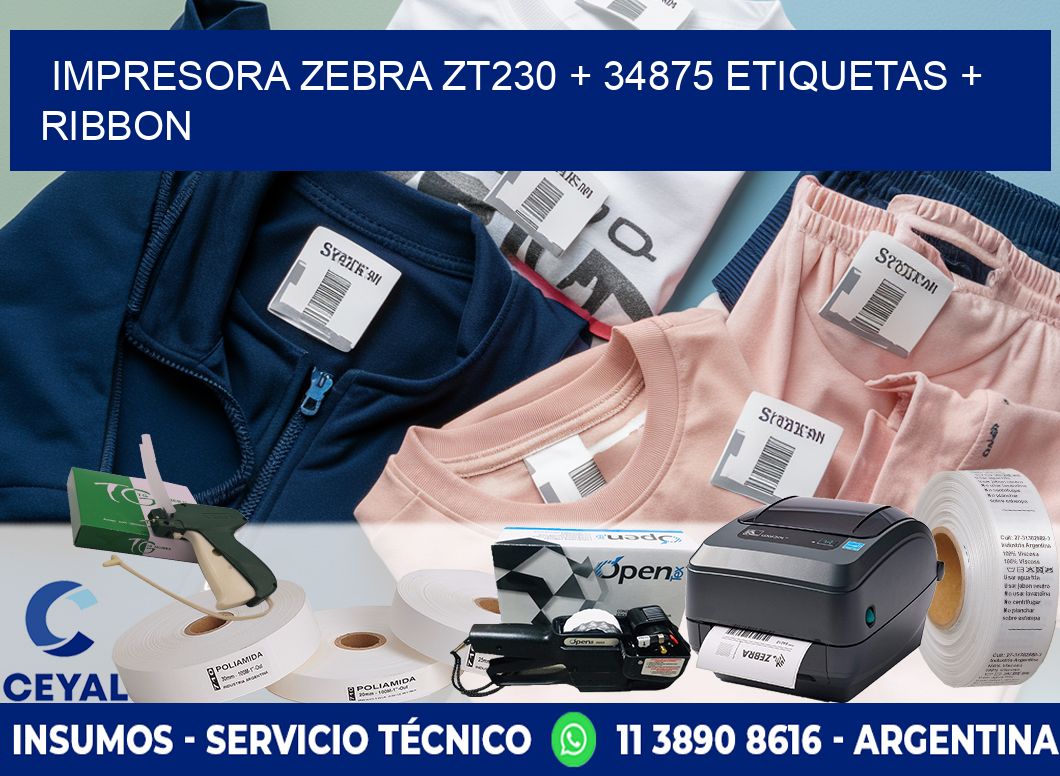 impresora zebra zt230 + 34875 etiquetas + ribbon