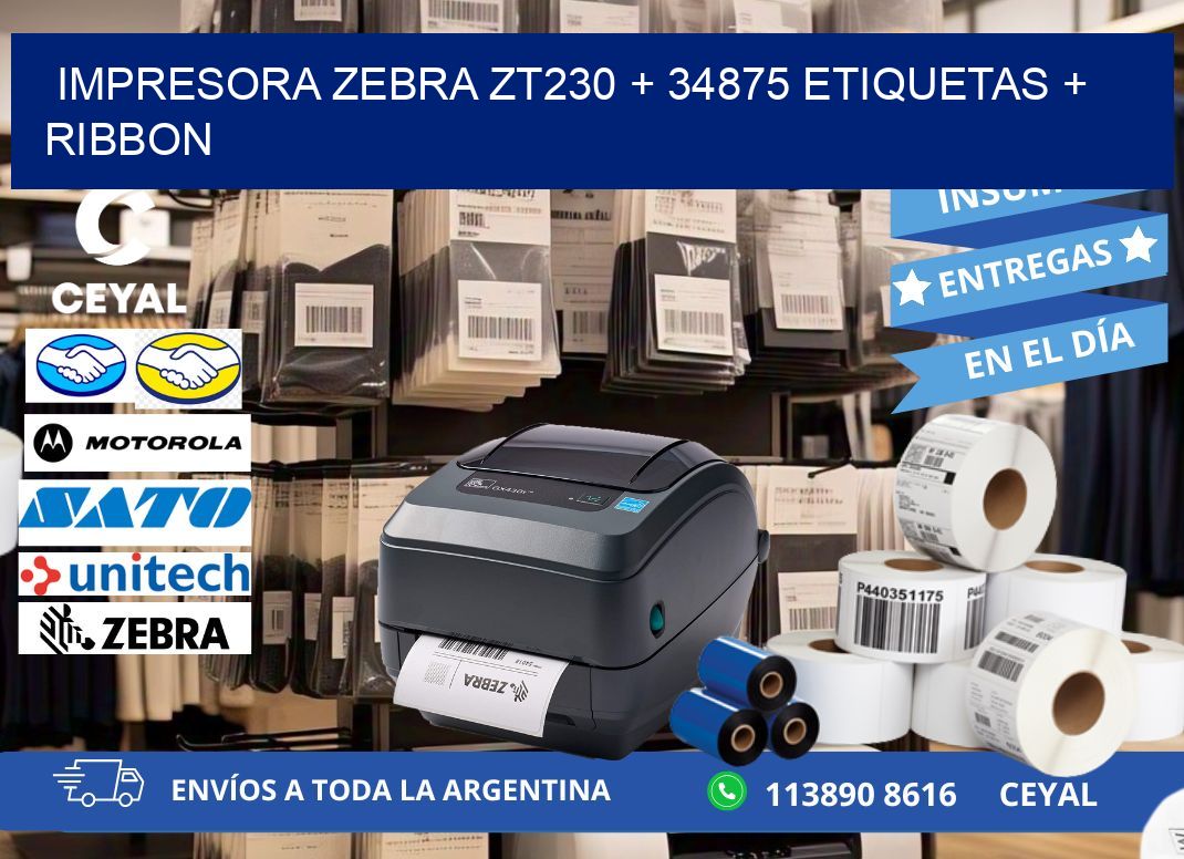 impresora zebra zt230 + 34875 etiquetas + ribbon