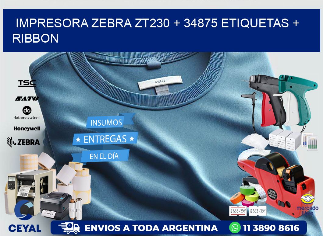 impresora zebra zt230 + 34875 etiquetas + ribbon
