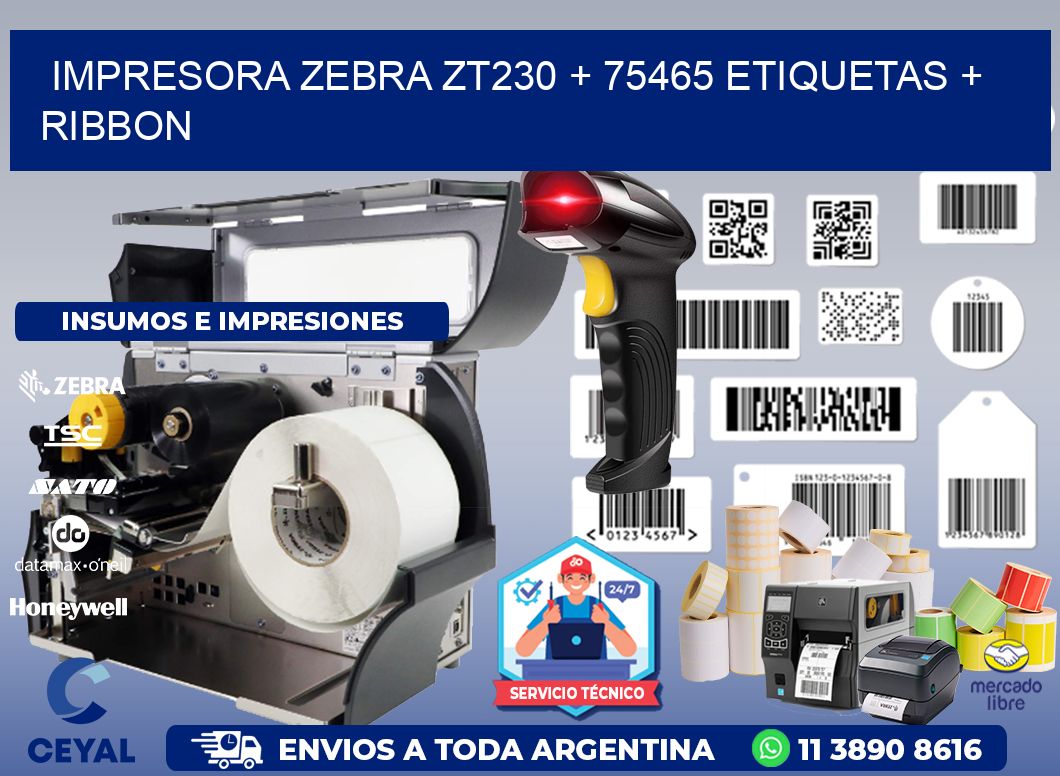 impresora zebra zt230 + 75465 etiquetas + ribbon